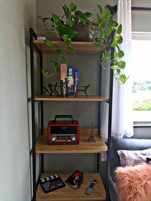 Tiny House Paraiso Minicasas Com Hidromassagem Pouso Alegre Εξωτερικό φωτογραφία